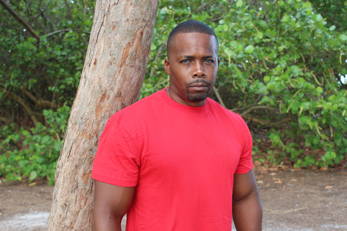 Short Sleeve Round Neck T-Shirt (2 Pack)